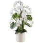 Composition florale artificielle d'orchidée et de philodendron CASTOL, sansevieria Mikado, pot décoratif, blanc, 140cm