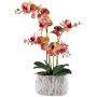 Orchidée Phalaenopsis artificielle BLORVEN, coupe en ciment, racines, jaune-rose fuchsia, 55cm