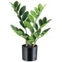 Plante artificielle Zamioculcas BLUHAR, 35 cm