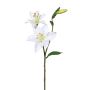 Branche artificielle Lys ATRONE, blanc, 60cm