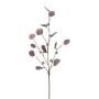 Branche artificielle d'eucalyptus TRAVON avec des fruits, aubergine, 75cm
