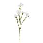 Branche artificielle Bleuet FRAVLE, blanc, 60cm