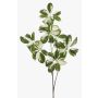 Branche décorative de Schefflera PARVANEH, vert-blanc, 110 cm
