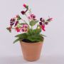 Fleur artificielle décorative « Pensée BAHNY » dans un pot en terre cuite, rose-blanc, 17 cm