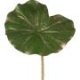 Feuille artificielle de nénuphar MINDA, vert-or, 70 cm