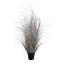 Herbe décorative Carex TAVRE, champagne, 95cm