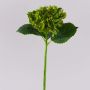Hortensia artificiel MYNMAR, vert, 35 cm, Ø 14 cm