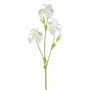 Branche décorative Iris KLAVO, blanc, 80cm