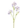 Branche décorative Iris KLAVO, lilas, 80cm