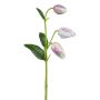 Fleur artificielle Fritillaria meleagris FRENT, rose-blanc, 55cm