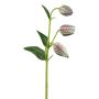Fleur artificielle Fritillaria meleagris FRENT, vert-rouge, 55cm