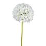 Fleur artificielle Allium KLATE, blanc, 90cm