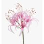 Amaryllis de jardin artificiel NANFAJI, rose, 65 cm