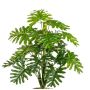 Plante artificielle Philodendron Selloum PRINO, piquet, 50cm
