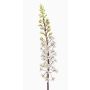 Fleur artificielle « bougie des steppes » SCHENRA, blanc-vert, 95 cm