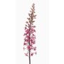 Fleur artificielle « bougie des steppes » SCHENRA, rose vif, 95 cm