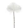 Branche décorative Pin parasol KLANTE, blanc, 50cm