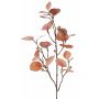 Fausse branche d'eucalyptus INDALA avec fruits, saumon, 85cm