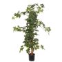 Vigne artificielle Cissus rhombifolia RAMAN, troncs en bois véritable, vert, 115cm