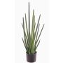 Sansevieria Cylindrica artificiel ASTARIA, vert, 95cm
