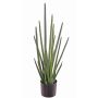 Sansevieria Cylindrica artificiel ASTARIA, vert, 95cm