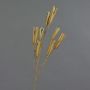 Branche de graines de lys artificielle ELFIDA, brun, 80cm