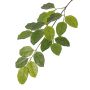 Branche artificielle Figuier des banians ERASMOS, diff. inflammable, vert, 80cm
