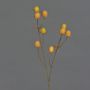 Branche de chardon artificielle (Eryngium) LOUKAS, jaune-orange, 45cm, Ø1,5cm