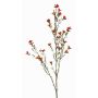 Hoya artificiel NIANG, orange-rouge, 80cm, Ø1,5-2,5cm