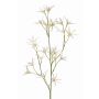Fleur artificielle Tweedia solanoides PALLAS, blanc, 75cm, Ø5cm
