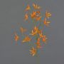 Fleur artificielle Tweedia solanoides PALLAS, orange, 75cm, Ø5cm
