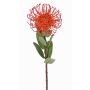 Fleur artificielle Protéa BAILY, orange, 50cm, Ø12cm