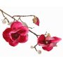 Magnolia en tissu KOSTAS, fuchsia, 55cm, Ø6-8cm