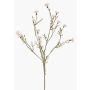 Fleur artificielle Bleuet ZENOBIOS, crème, 80cm, Ø3-4cm