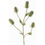 Cardère sauvage artificielle KASTANIA, vert, 90cm