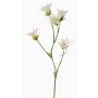 Œillet du Japon artificiel KASTALIA, crème, 65cm, Ø4-5cm