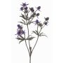 Chardon artificiel (Eryngium) KALYPSO, violet foncé, 65cm