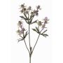 Chardon artificiel (Eryngium) KALYPSO, lilas, 65cm