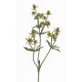 Chardon artificiel (Eryngium) KALYPSO, vert, 65cm