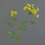 Ammi majus artificiel KALIXTUS, vert, 75cm, Ø7-13cm