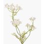 Carotte sauvage artificielle KALOMIRA, blanc, 85cm