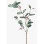 Fausse branche d'eucalyptus MAXEN avec fruits, vert-gris, 75cm