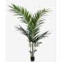 Faux palmier kentia NESTA, 150cm