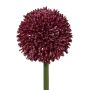 Fleur décorative Allium MENKES, rouge bourgogne, 65cm
