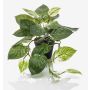 Pothos artificiel TREVA, vert-blanc, 55cm