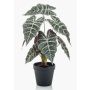 Faux Alocasia Sanderiana UTHER, vert-blanc, 40cm