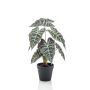Faux Alocasia Sanderiana UTHER, vert-blanc, 40cm
