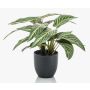Calathea Zebrina artificiel VAIDA en pot décoratif, vert-blanc, 40cm