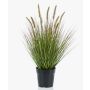 Graminée artificielle YWAIN, panicules, beige-vert, 60cm