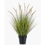 Graminée artificielle YWAIN, panicules, beige-vert, 85cm
